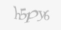 Защитный код