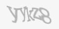 Защитный код