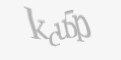 Защитный код
