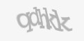 Защитный код