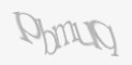Защитный код